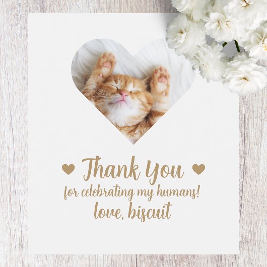 Aangepaste foto kat ik doe ook bruiloft wijn label wijn etiket