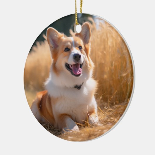 Aangepaste foto keramisch ornament (Links)