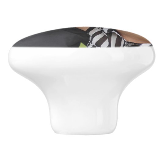 Aangepaste foto Keramische ladeknop Keramische Knop (Zijkant)