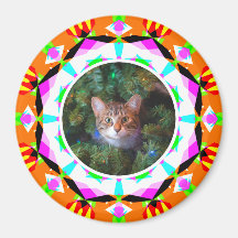 Aangepaste foto Kerstmis Kat Mama Papa Sinaasappel