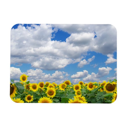 Aangepaste foto koelkast magneet (Horizontaal)