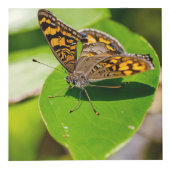 Aangepaste foto-kubbe van 4 inch kubus (Voorkant)