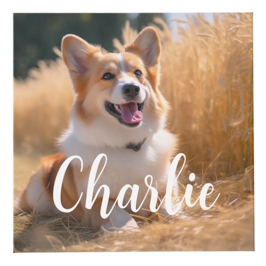 Aangepaste foto kubus (Voorkant)