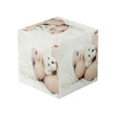 Aangepaste foto kubus (Achter hoekig)