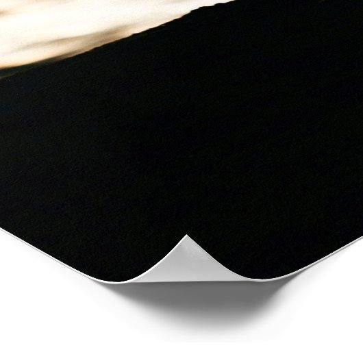 Aangepaste foto Maak het uniek Poster (Hoek)