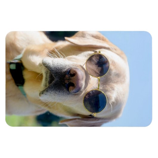 Aangepaste foto magneet (Horizontaal)