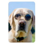 Aangepaste foto magneet (Verticaal)