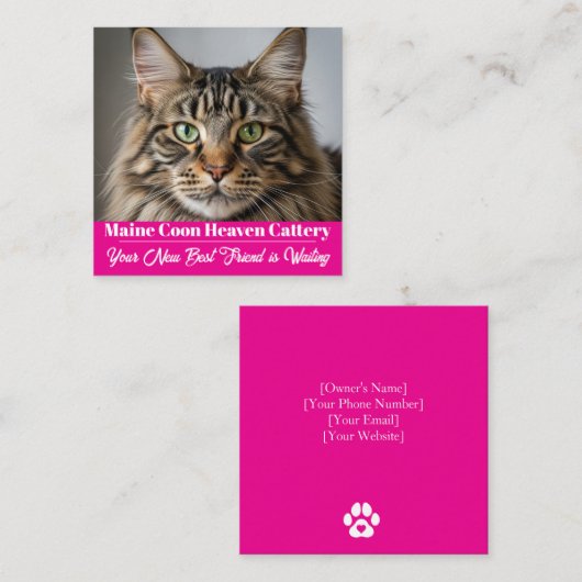Aangepaste Foto Maine Coon Cattery Visitekaartje (Voorkant / Achterkant)