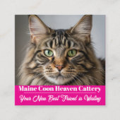 Aangepaste Foto Maine Coon Cattery Visitekaartje (Voorkant)