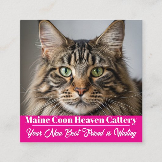 Aangepaste Foto Maine Coon Cattery Visitekaartje (Voorkant)