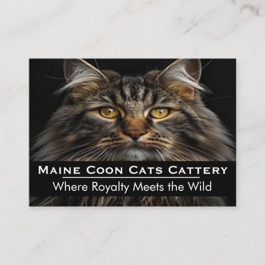 Aangepaste foto Maine Coon fokkerij Professioneel Visitekaartje (Voorkant)