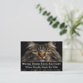 Aangepaste foto Maine Coon fokkerij Professioneel Visitekaartje (Staand voorkant)