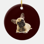 Aangepaste foto Memorial Keepomwille Pet Dog Ceram Keramisch Ornament (Achterkant)