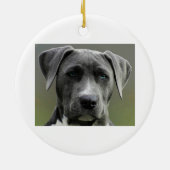 Aangepaste foto Memorial Keepomwille Pet Dog Keramisch Ornament (Achterkant)