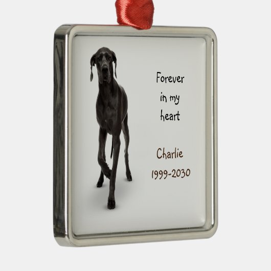 Aangepaste foto Memorial Keepomwille Pet Dog Metalen Ornament (Rechts)