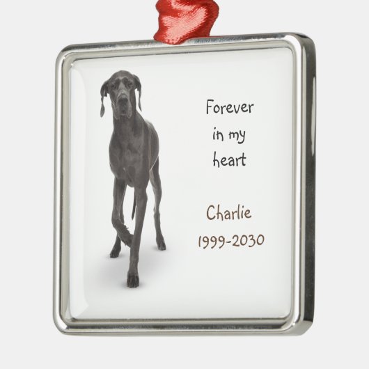 Aangepaste foto Memorial Keepomwille Pet Dog Metalen Ornament (Links)