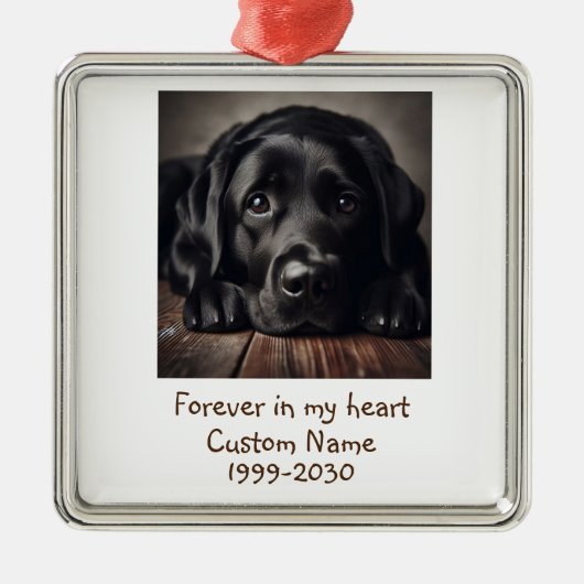 Aangepaste foto Memorial Keepomwille Pet Dog Metalen Ornament (Voorkant)
