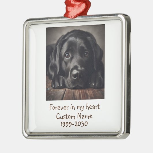 Aangepaste foto Memorial Keepomwille Pet Dog Metalen Ornament (Links)