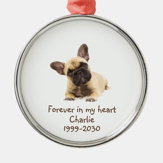 Aangepaste foto Memorial Keepomwille Pet Dog Metalen Ornament (Voorkant)