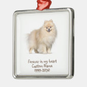 Aangepaste foto Memorial Keepsake Dog Metalen Ornament (Links)
