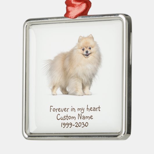 Aangepaste foto Memorial Keepsake Dog Metalen Ornament (Links)