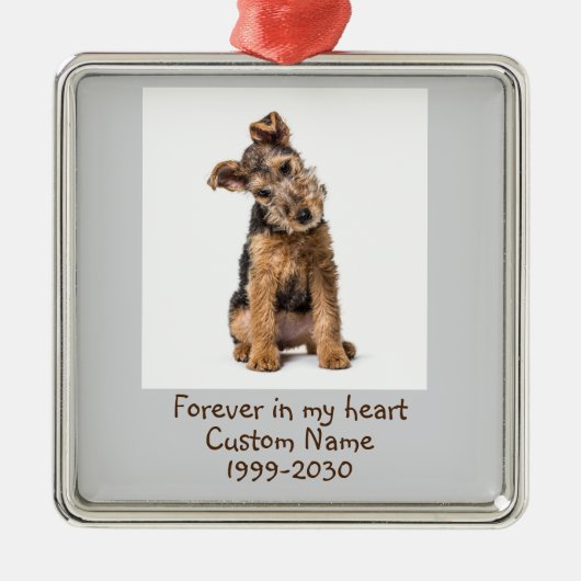 Aangepaste foto Memorial Keepsake Dog Metalen Ornament (Voorkant)