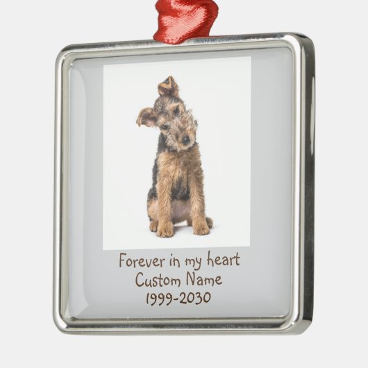 Aangepaste foto Memorial Keepsake Dog Metalen Ornament (Links)