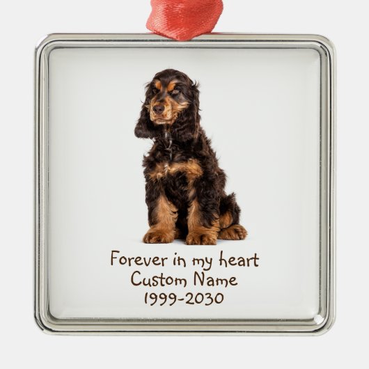 Aangepaste foto Memorial Keepsake Dog Metalen Ornament (Voorkant)