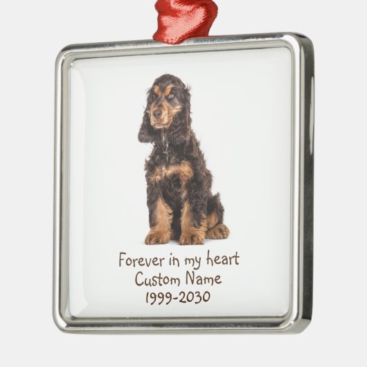 Aangepaste foto Memorial Keepsake Dog Metalen Ornament (Links)