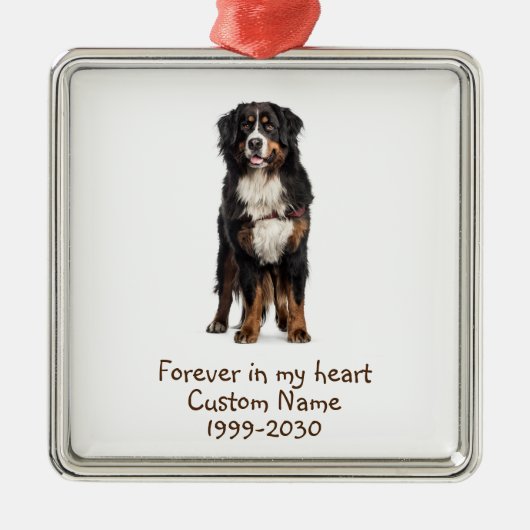 Aangepaste foto Memorial Keepsake Dog Metalen Ornament (Voorkant)