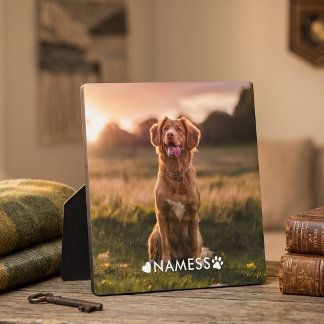 Aangepaste foto met de naam van uw huisdier op fotoplaat