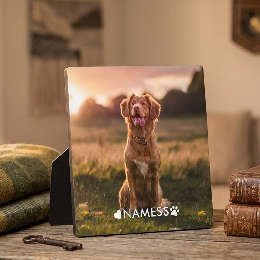 Aangepaste foto met de naam van uw huisdier op fotoplaat