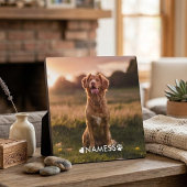 Aangepaste foto met de naam van uw huisdier op fotoplaat