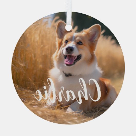 Aangepaste foto met naam glas ornament (Achterkant)