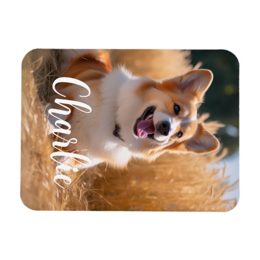 Aangepaste foto met naam magneet (Horizontaal)