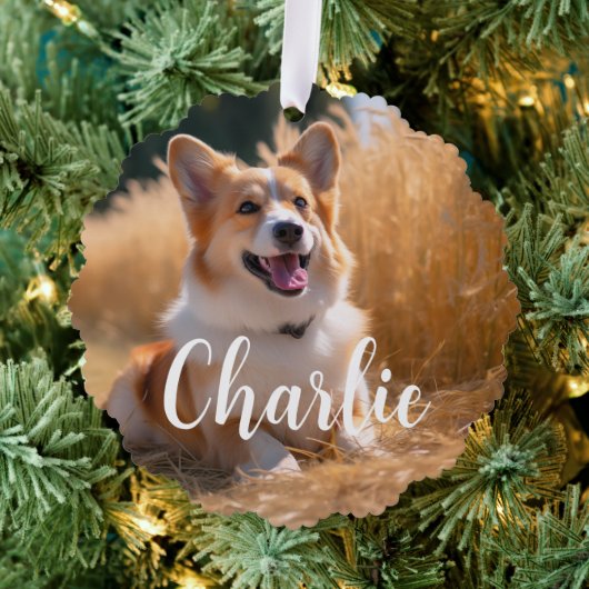 Aangepaste foto met naam ornament kaart (Insitu (Drie))