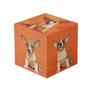 Aangepaste foto met uw huisdier hond 5 afbeelding kubus