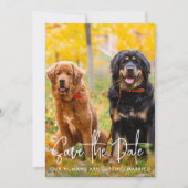 Aangepaste foto Modern Script Pet Dog Weddenschap Save The Date (Voorkant)