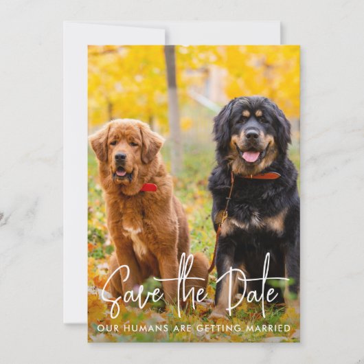 Aangepaste foto Modern Script Pet Dog Weddenschap Save The Date (Voorkant)