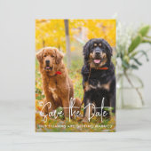 Aangepaste foto Modern Script Pet Dog Weddenschap Save The Date (Staand voorkant)