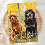 Aangepaste foto Modern Script Pet Dog Weddenschap Save The Date<br><div class="desc">Laat je beste honden of hond en kat je bruiloft aankondigen met deze super schattige 'Save the Date ~ Our Humans Wans Getting Married'-huishond, sla de datumkaarten op. Pas met uw favoriete foto aan, en personaliseer met namen, datum, en trouwplaats. Deze huwelijksaankondiging van de hond zal een hit worden met...</div>