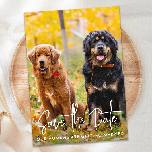 Aangepaste foto Modern Script Pet Dog Weddenschap Save The Date