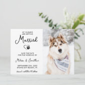 Aangepaste foto Moderne Calligrafie-hondenweddensc Save The Date (Staand voorkant)