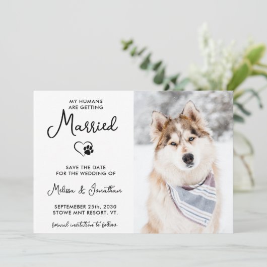 Aangepaste foto Moderne Calligrafie-hondenweddensc Save The Date (Staand voorkant)