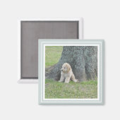 Aangepaste foto Moderne Cute Family Simple Green W Magneet (Voorkant / Achterkant)