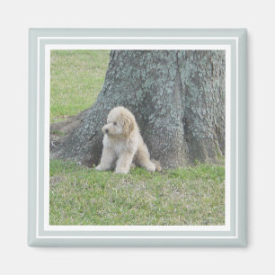 Aangepaste foto Moderne Cute Family Simple Green W Magneet