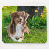 Aangepaste foto muismat (Voorkant)