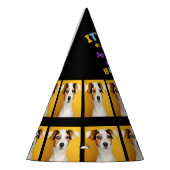 Aangepaste foto negende verjaardagsfeestje Pet Feesthoedjes (Links)