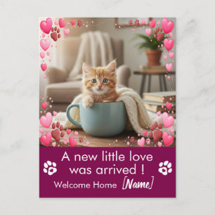 Aangepaste foto nieuwe kattenaankondiging briefkaa briefkaart