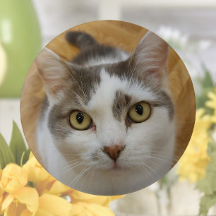 Aangepaste foto of ander Afbeelding pinback Ronde Button 3,2 Cm